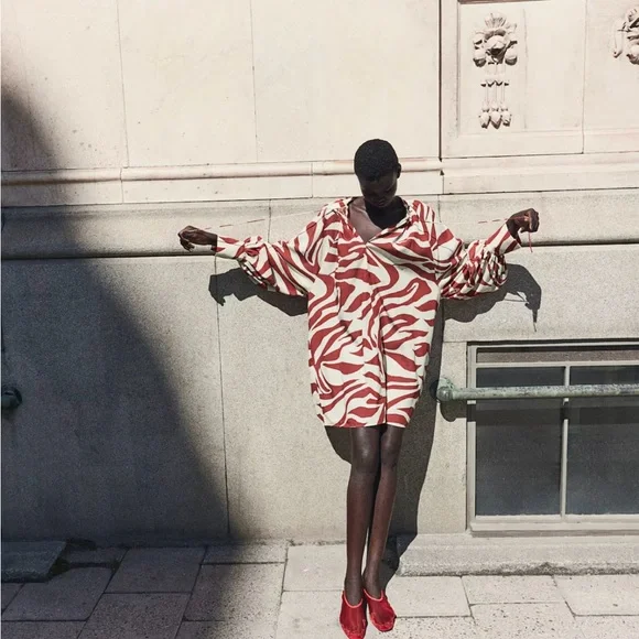 NEW W TAG BLOGGER FAVE OVERSIZED TIE DETAIL ZEBRA PRINT DRESS SIZE LARGE - Picture 5 of 9